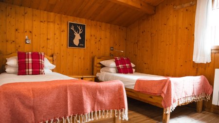 Chalet Anemones