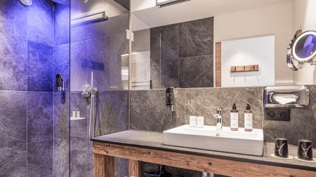 Boutique Hotel Die Alpbacherin