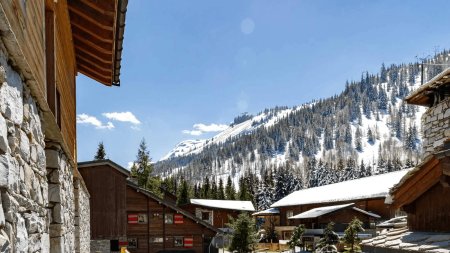 Chalet Nirmal