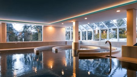 Hotel Valaisia