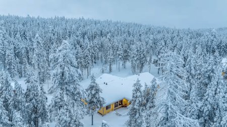 Middle of Nordic Apartments
