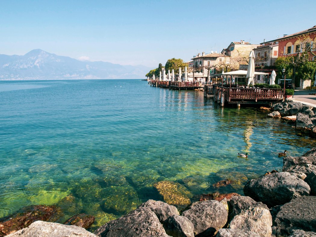 Mediterranean