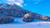 Kranjska Gora