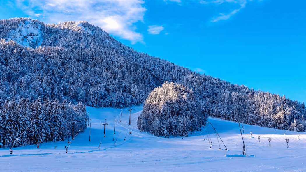 Kranjska Gora