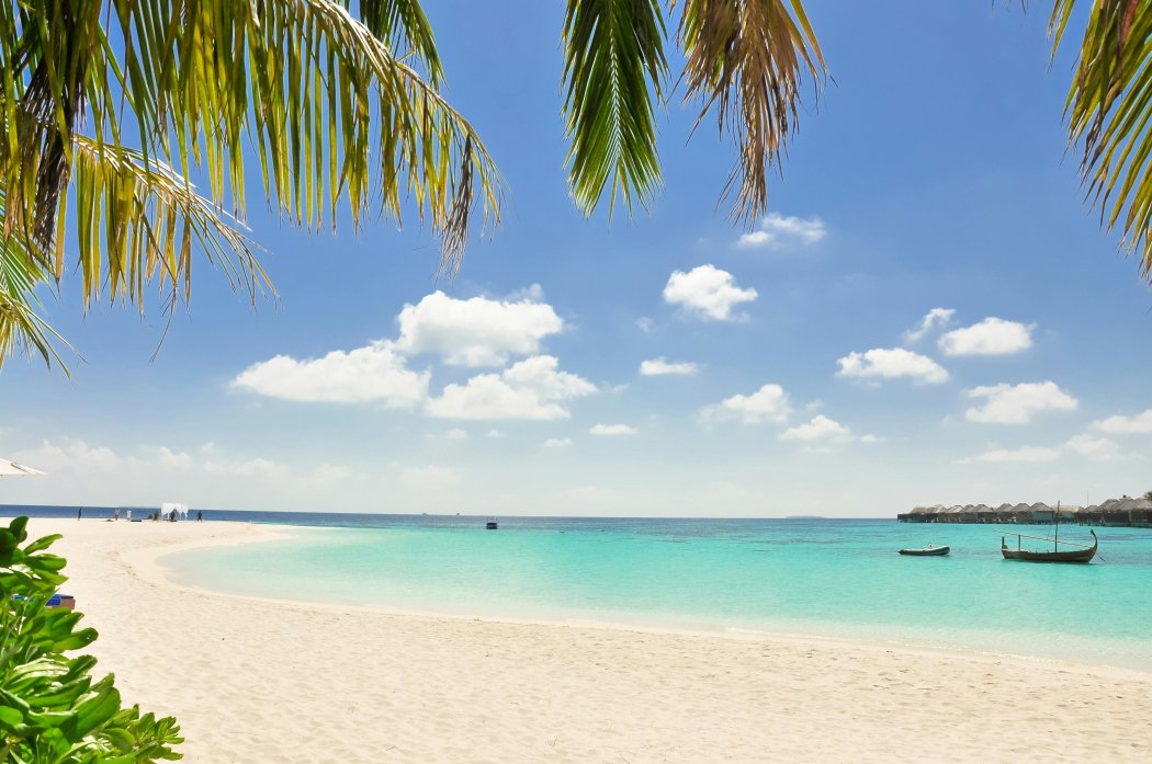Caribbean Cruise