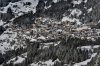 Wengen