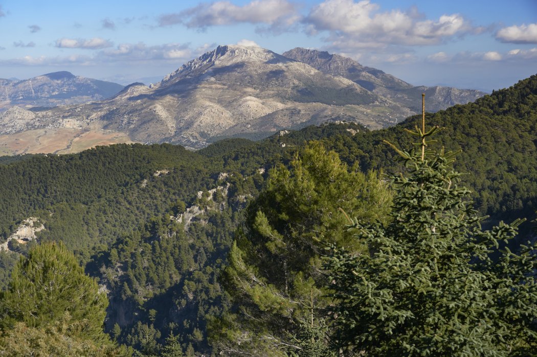 Marbella