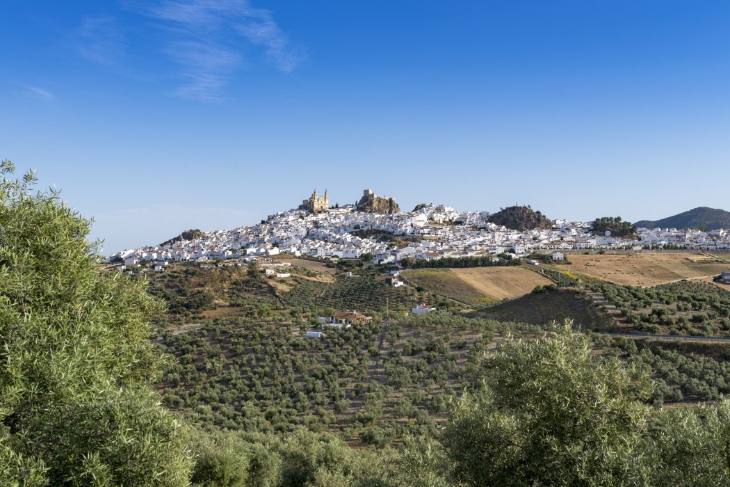 Marbella