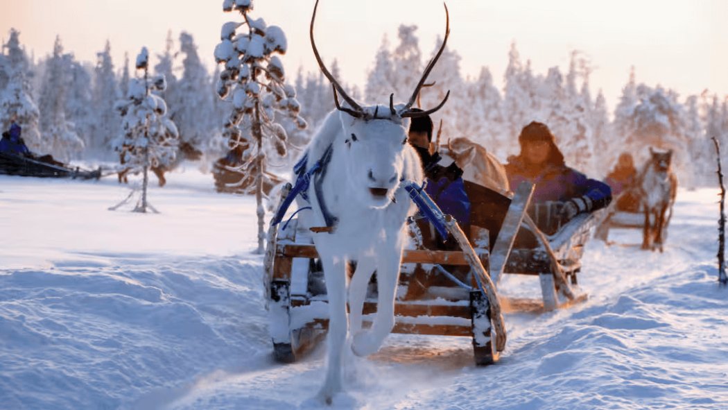 Salla