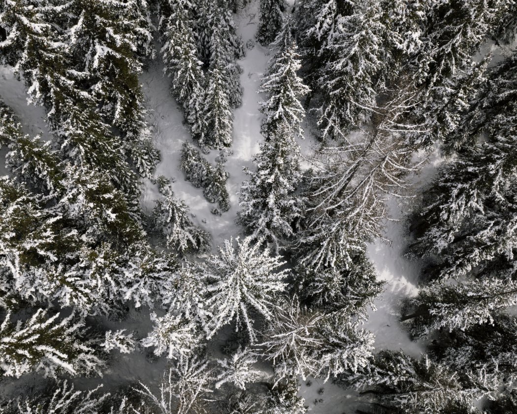 Peisey-Vallandry