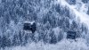 Vaujany