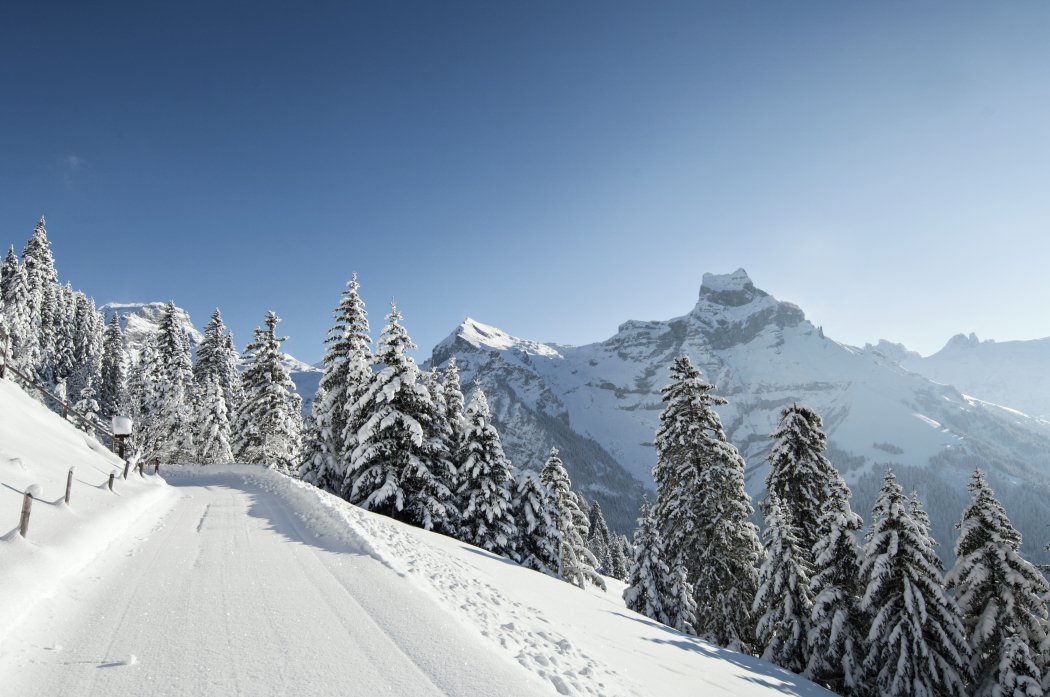 Engelberg