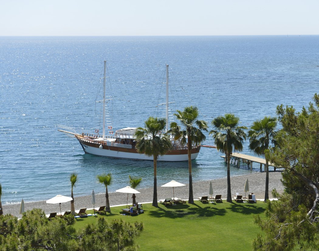 Palmiye