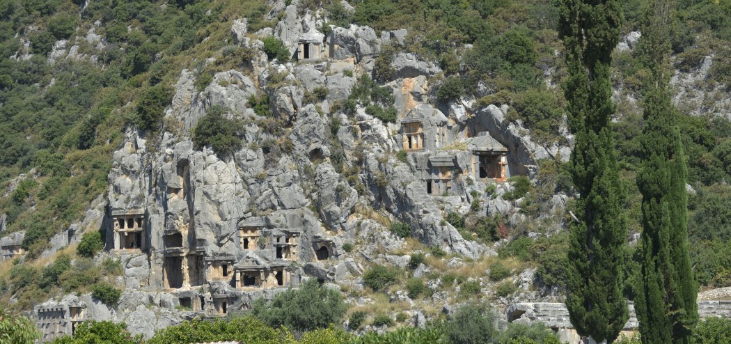 Palmiye